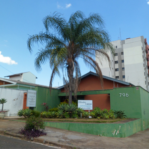 No escritório de Marília/SP, o destaque fica por conta da alta palmeira e do diversificado jardim. 