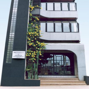 Subindo pelos andares do pequeno prédio, a trepadeira de flores amarelas colore a fachada do escritório de Cruz Alta/RS. 