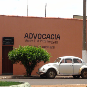 O verde da pequena árvore se destaca na fachada rosa do escritório de Guará/SP. 